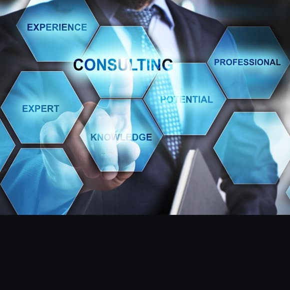 Business Consulting